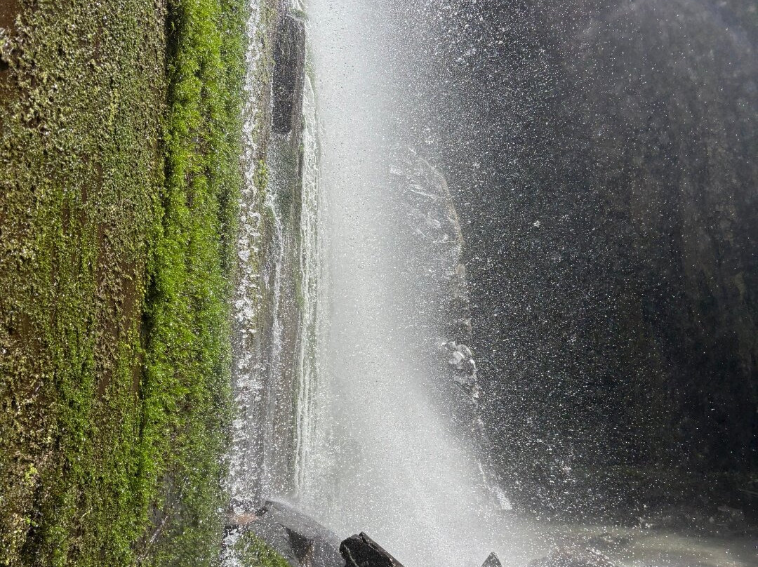 Cascata do Moinho-Progresso必去景点