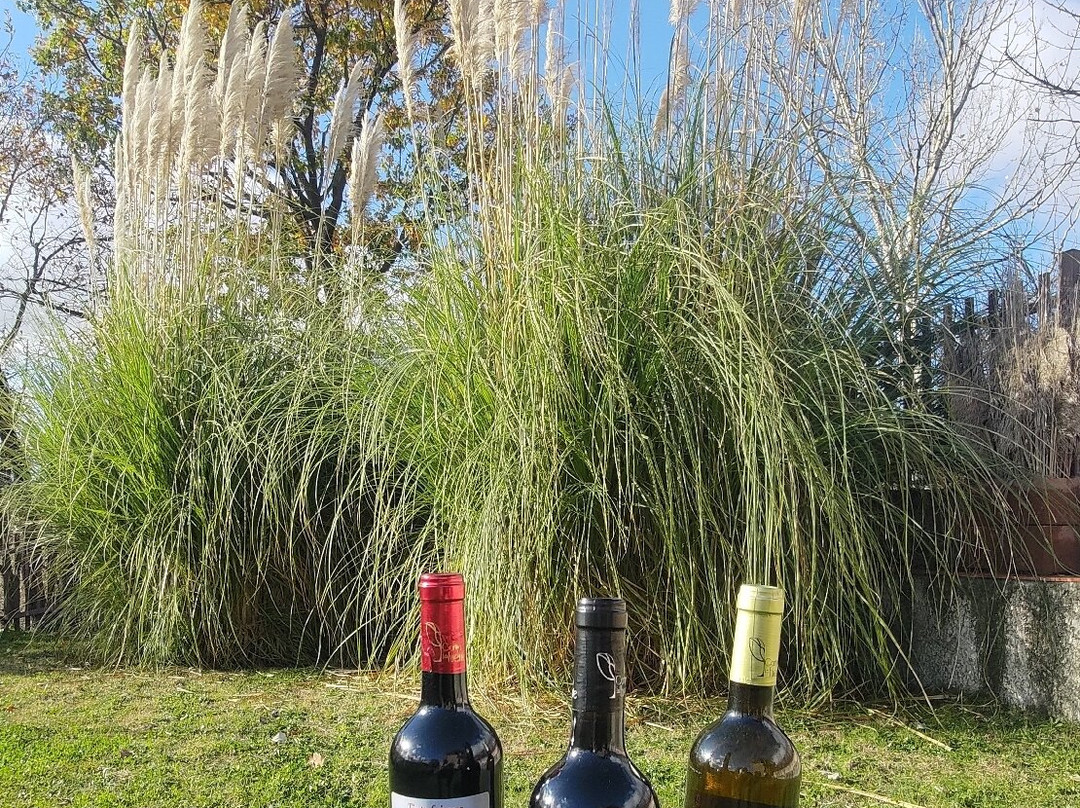 Bodega Cortijo La Fuente-Mollina必去景点