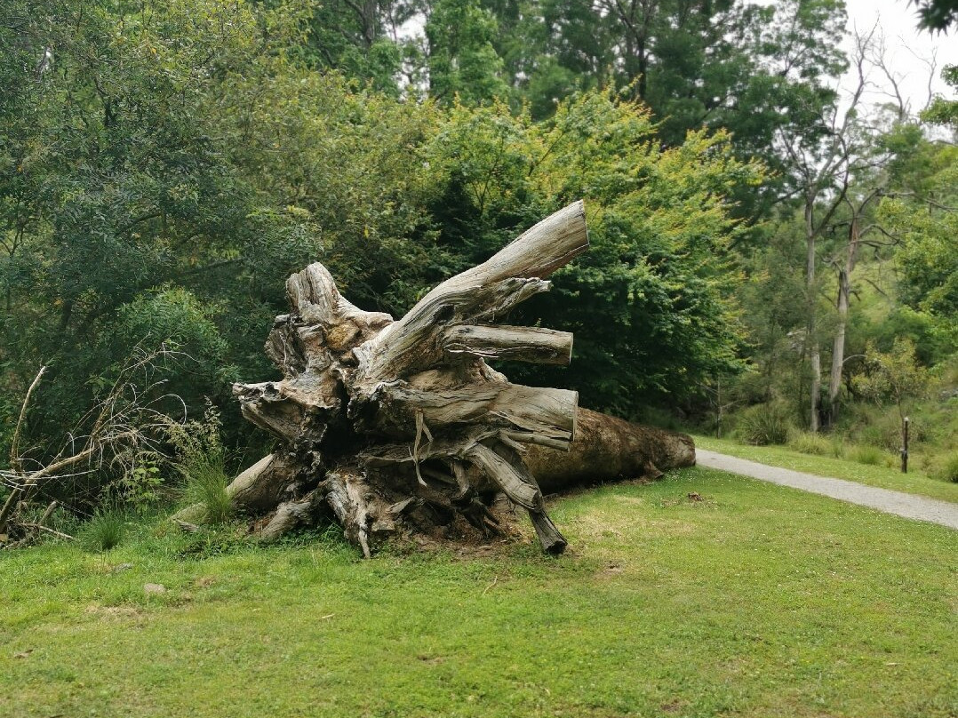 Buchan Caves Reserve-Buchan必去景点