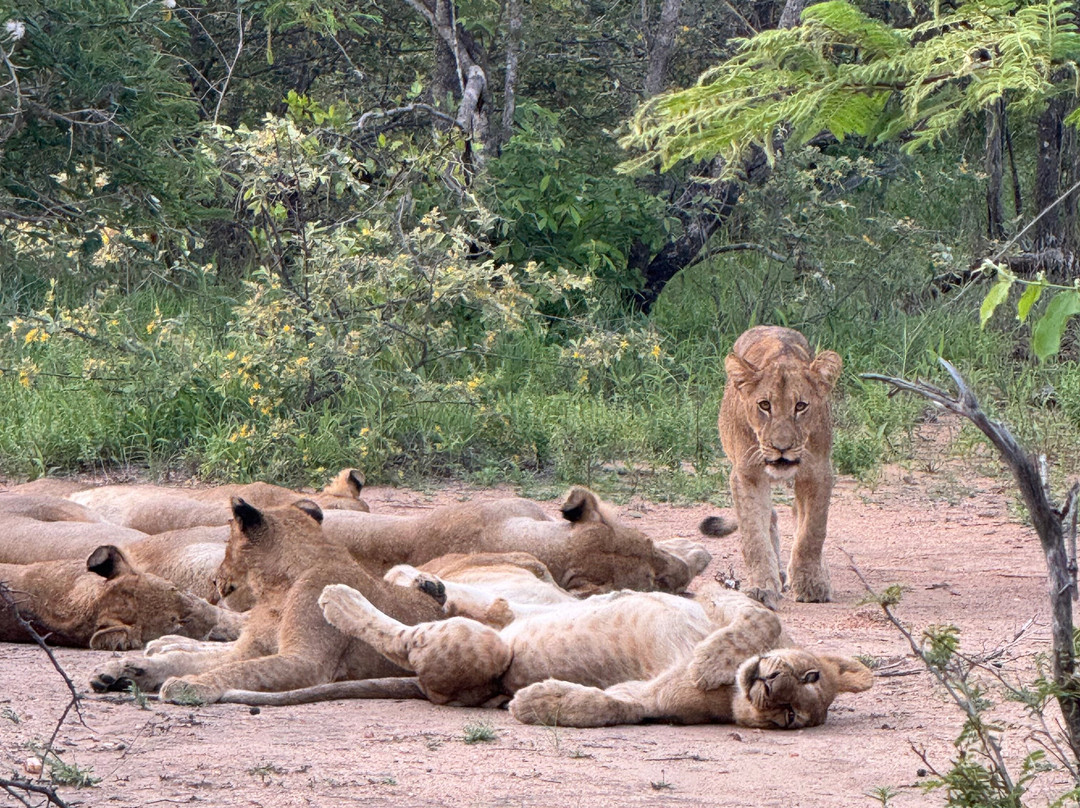Toro River at Toro River Lodges-霍德斯普鲁特必去景点