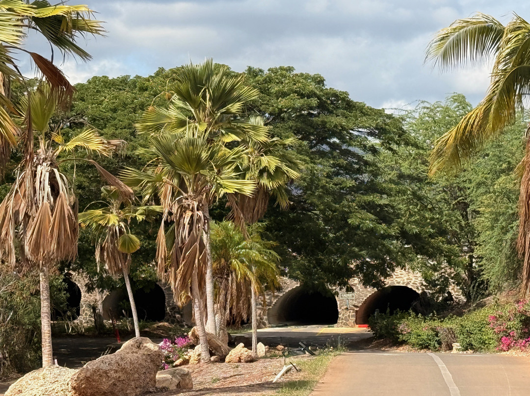 珊瑚溪高尔夫俱乐部-伊娃海滩必去景点