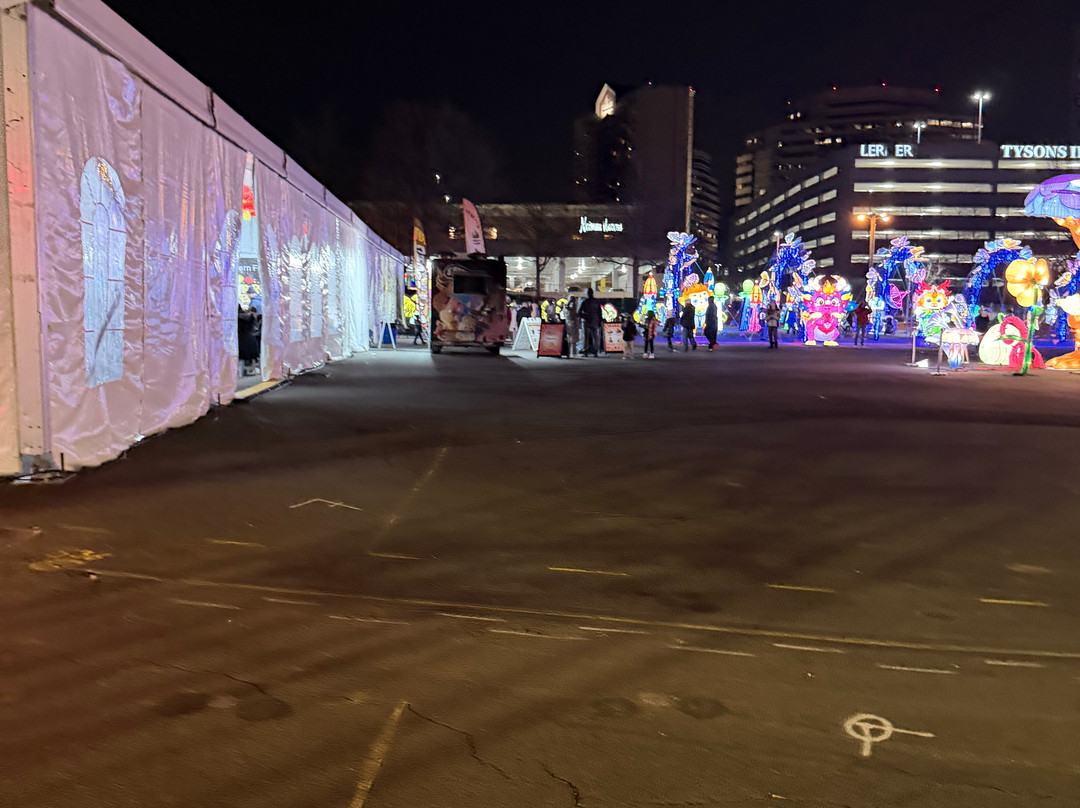 Winter Lantern Festival Washington DC-泰森角必去景点