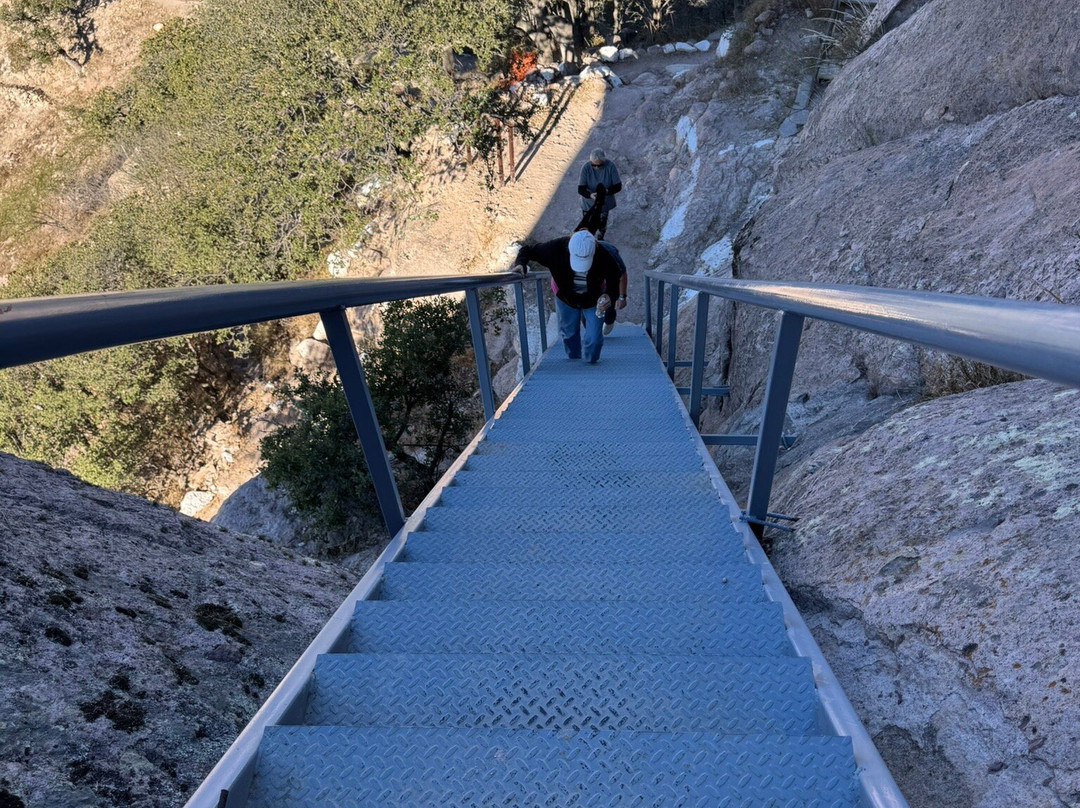 Canyons Zip Line & Canopy Tours-奥卡拉必去景点