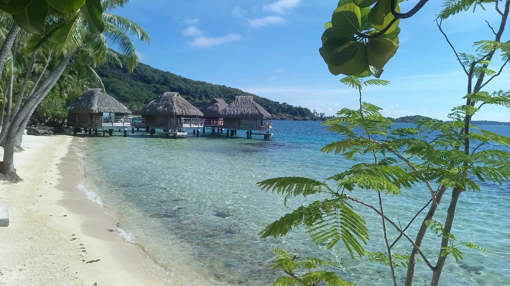 波利尼西亚波拉波拉麦泰度假酒店-官方