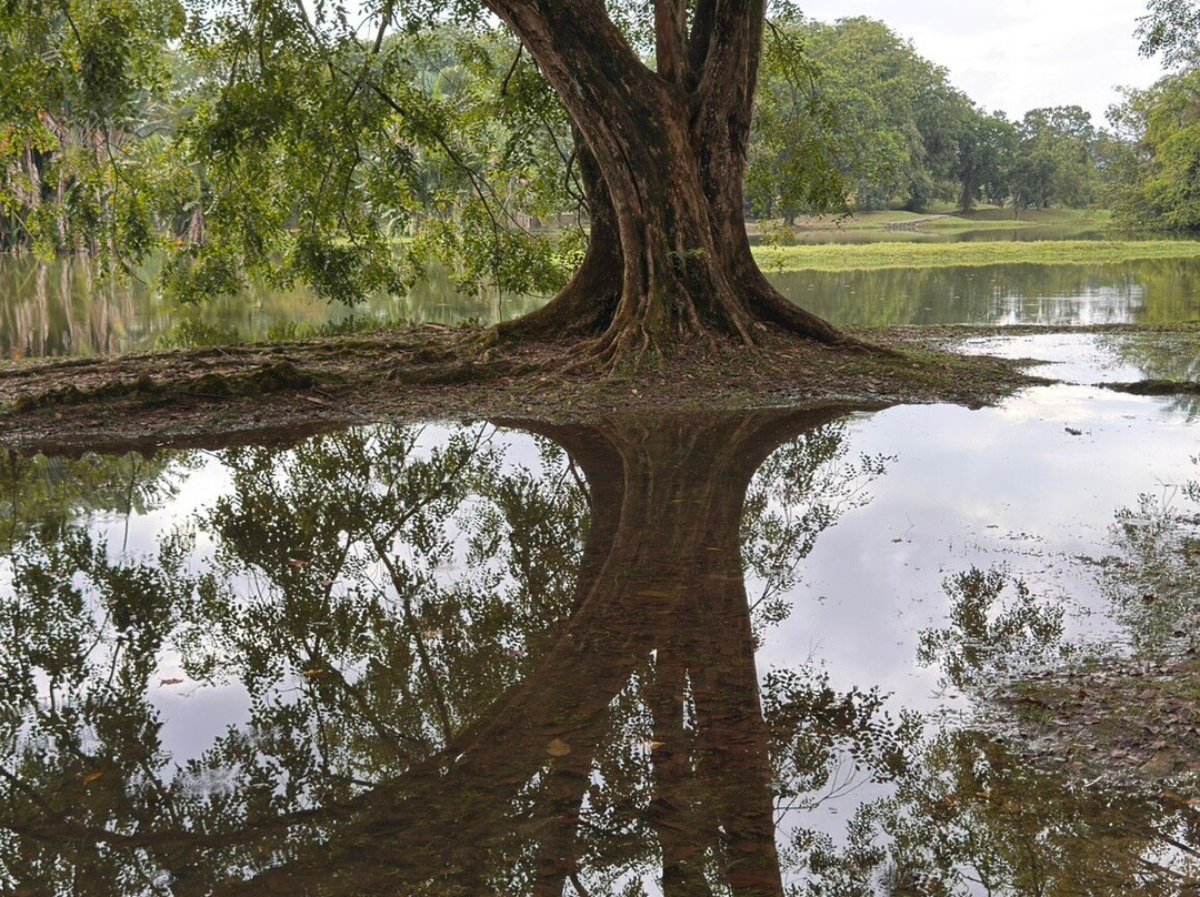 Taiping Lake Gardens-太平必去景点