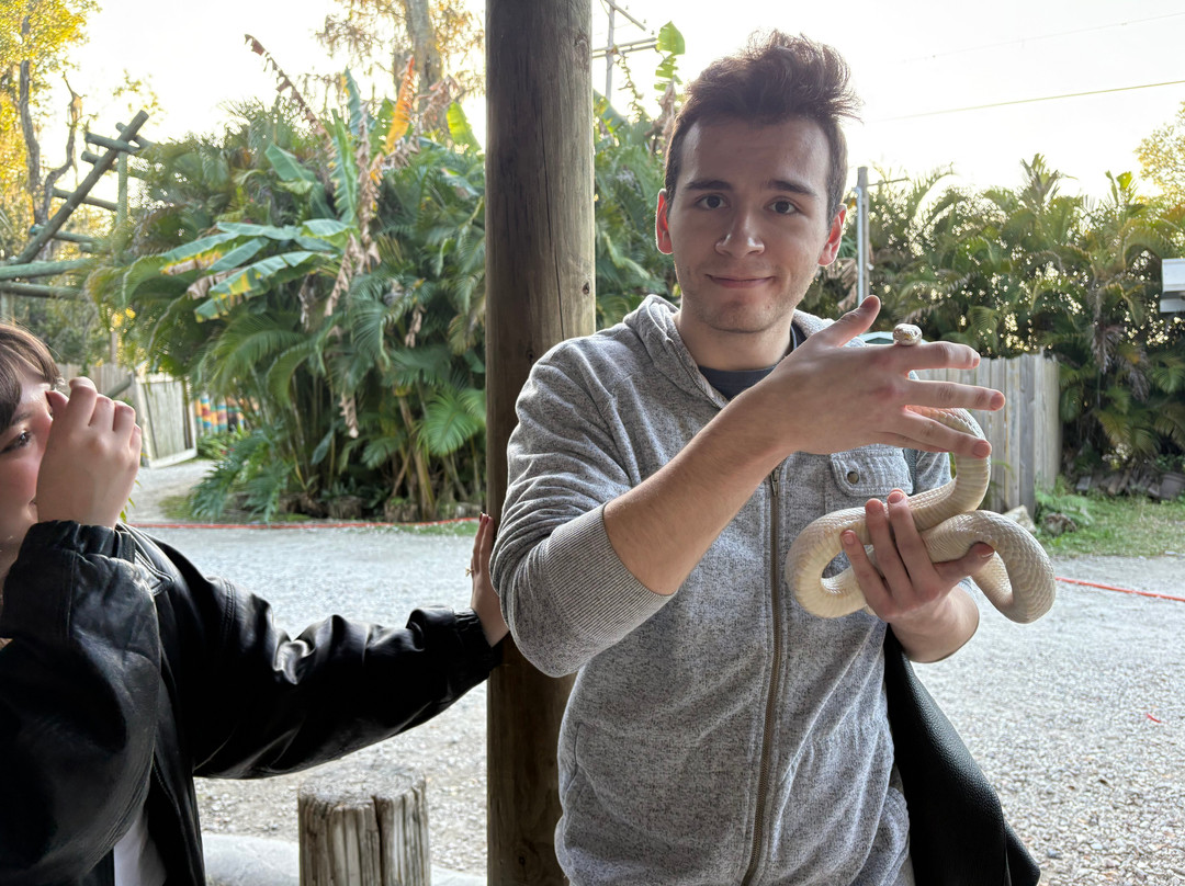 Croc Encounters-坦帕必去景点