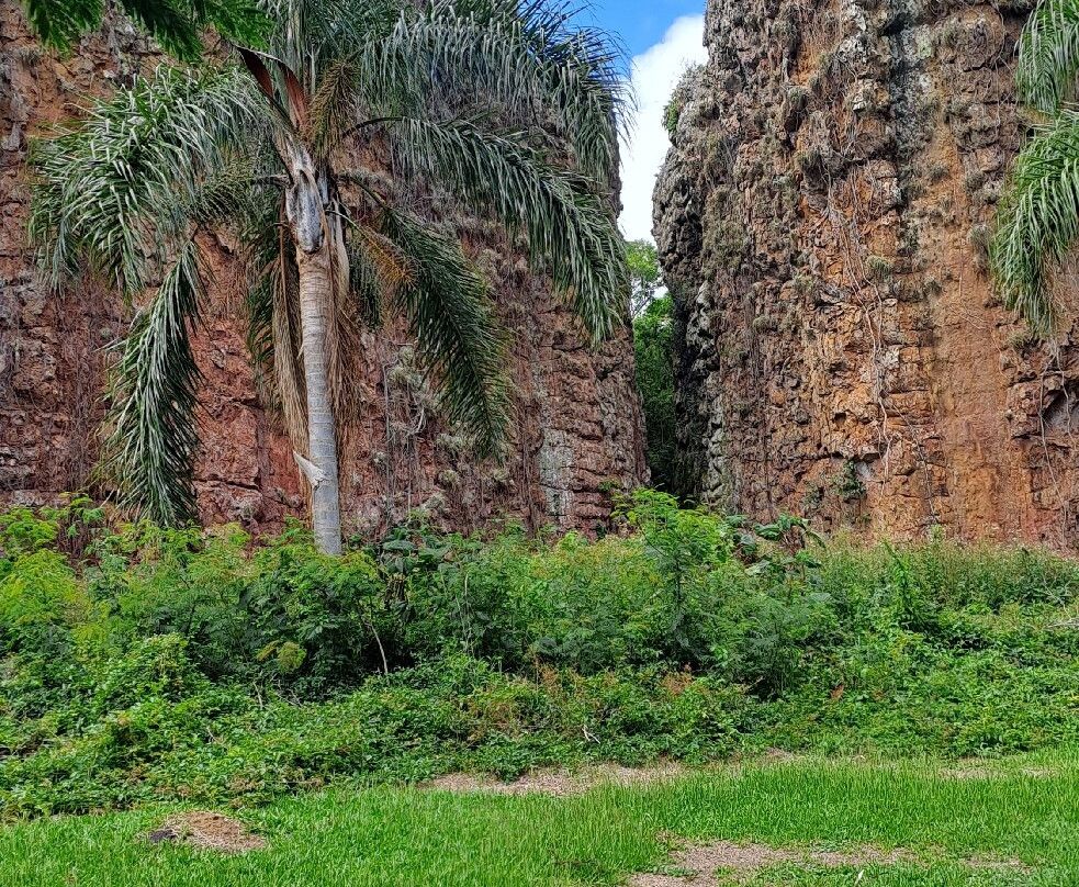 Parque Estadual de Vila Velha-Ponta Grossa必去景点