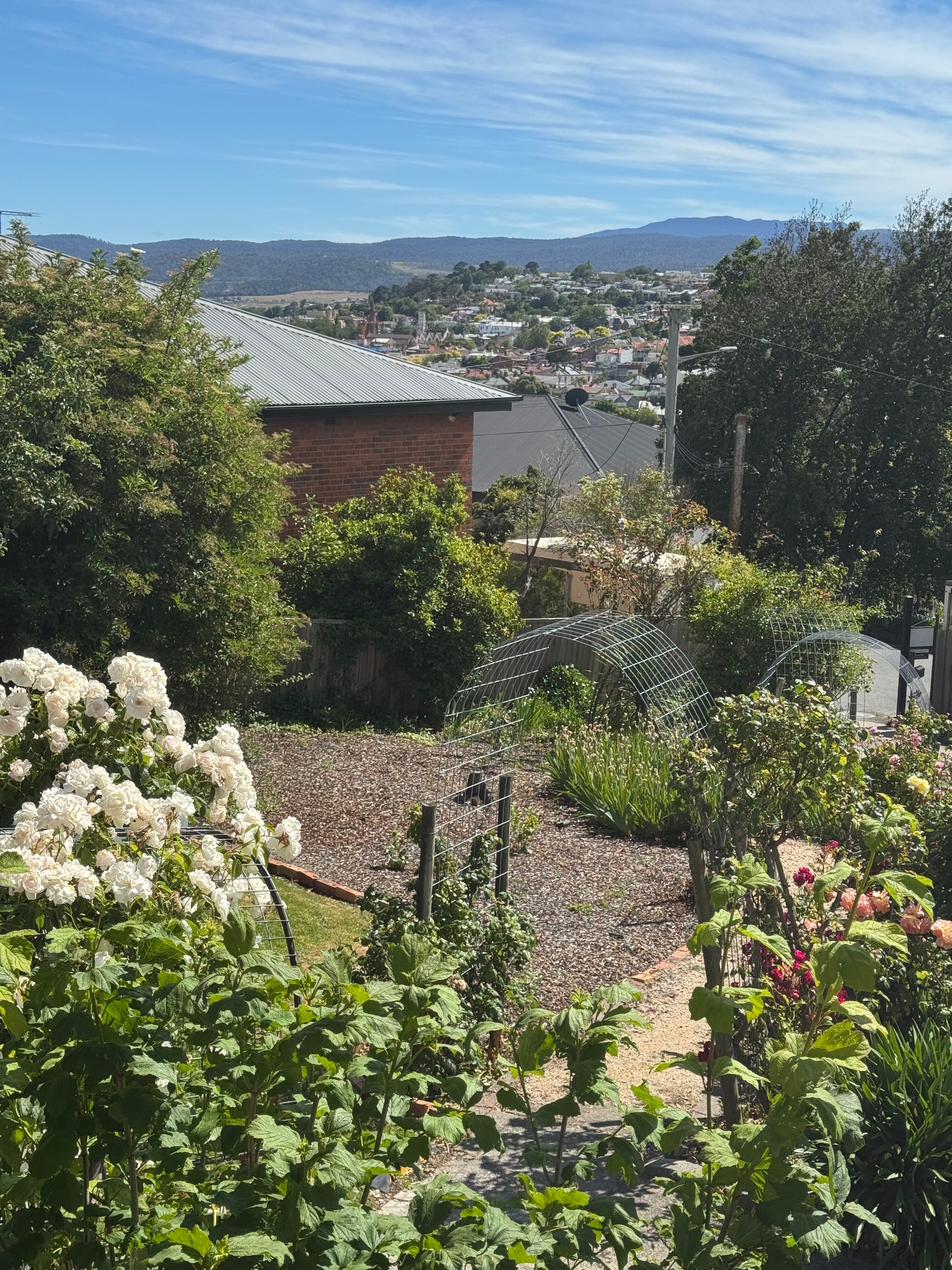 The Dragonfly Inn-浴室