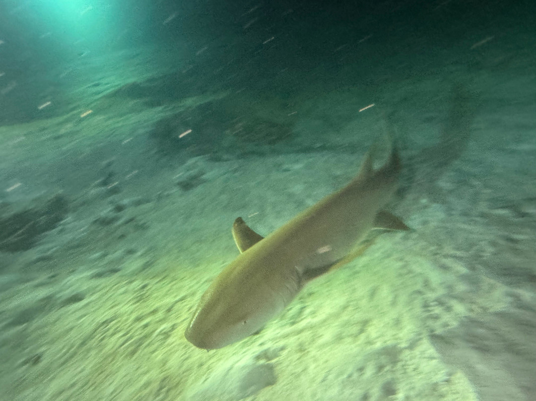 Dune Maldives-胡鲁马累必去景点