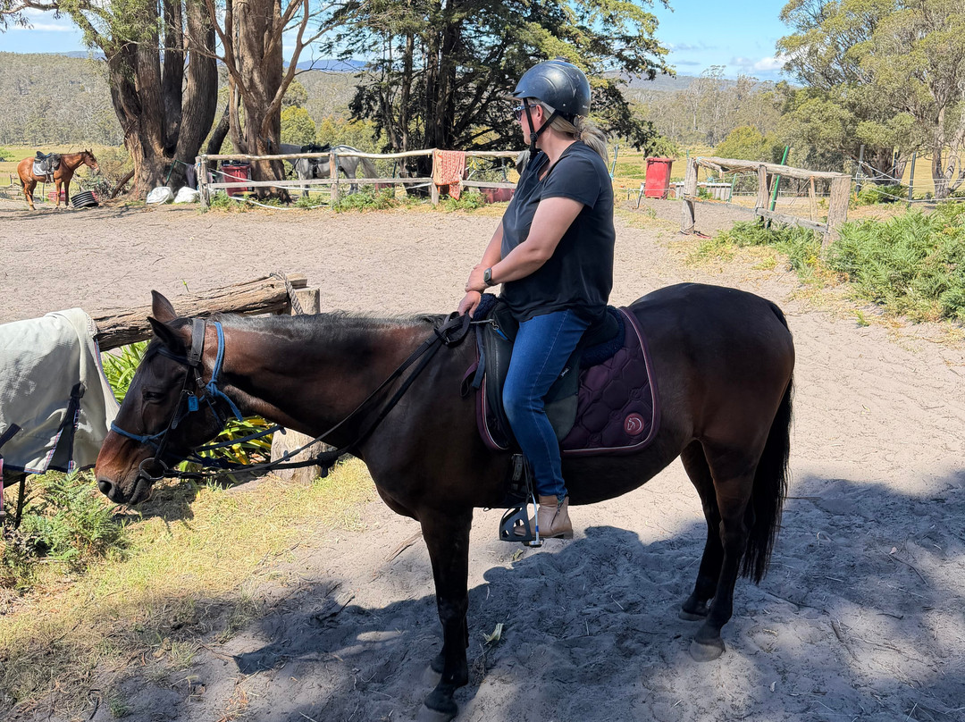 Horse Riding Tasmania-Woodsdale必去景点