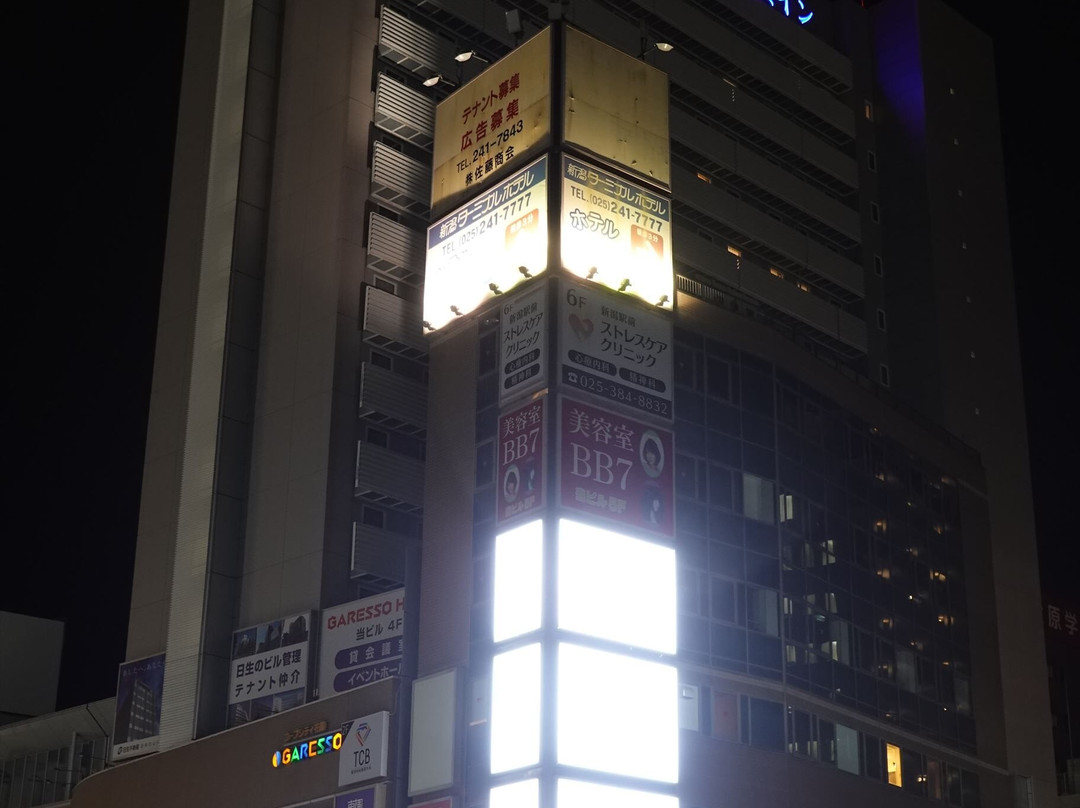 东横INN-新泻站前主图