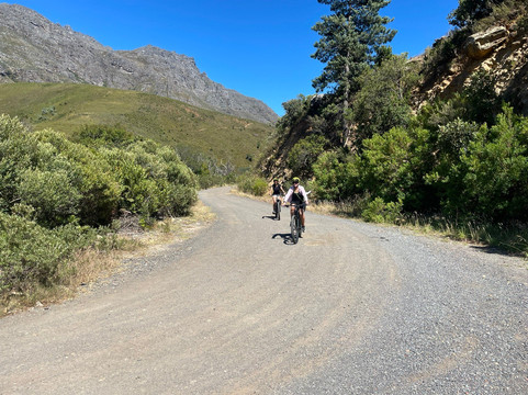 Ride In Bike Hire-斯泰伦博斯必去景点