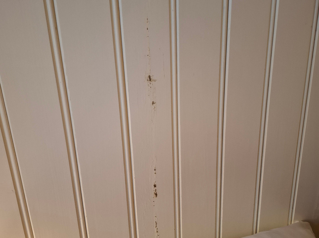 Hotel Dömitzer Hafen主图