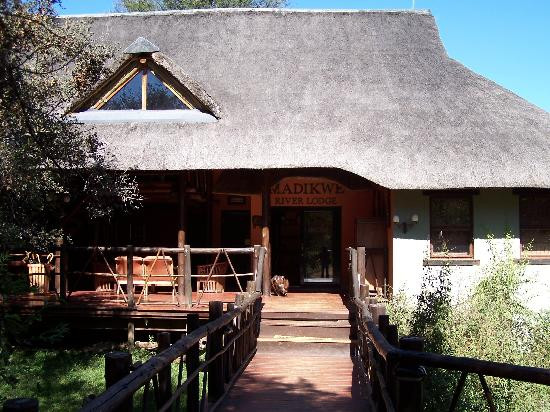 Madikwe River Lodge by Dream Resorts