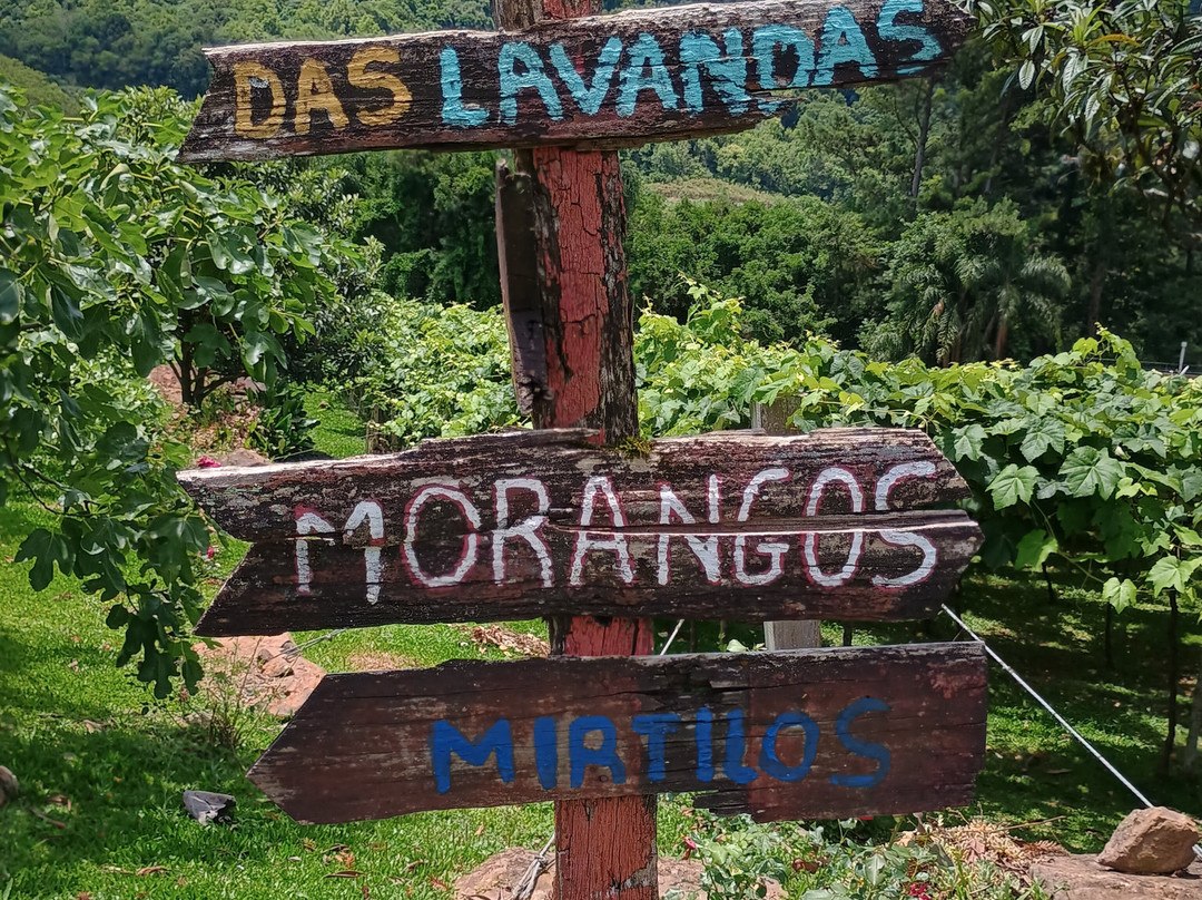 Casa Sander-Nova Petropolis必去景点