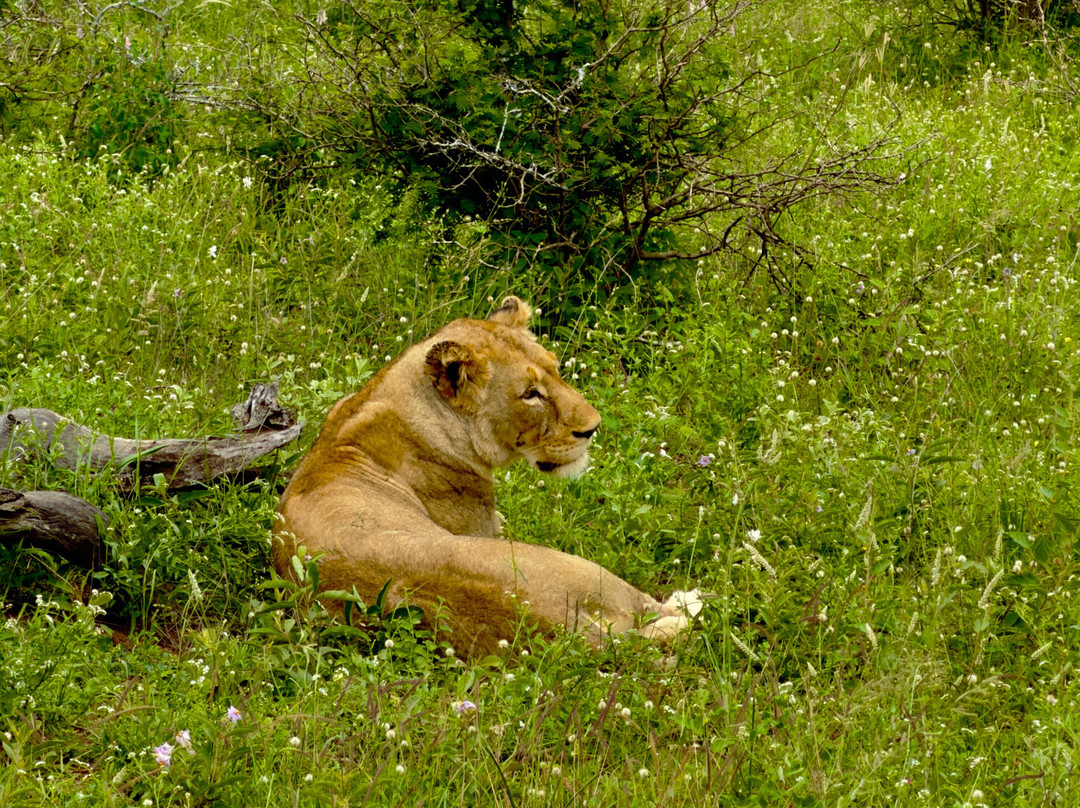 Wild And Free Safaris-霍德斯普鲁特必去景点