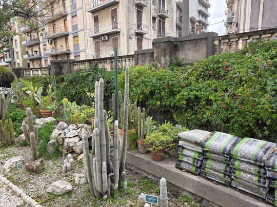Orto Botanico dell'Università di Catania-卡塔尼亚必去景点