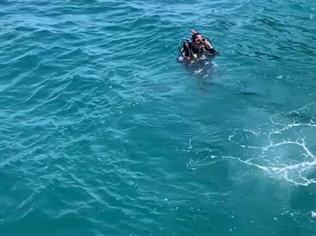 Narwhal-伊利亚贝拉必去景点