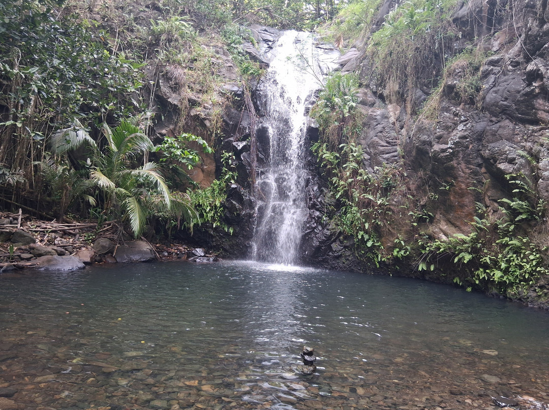 Bateau d'hôtes Ratere-Taiohae必去景点