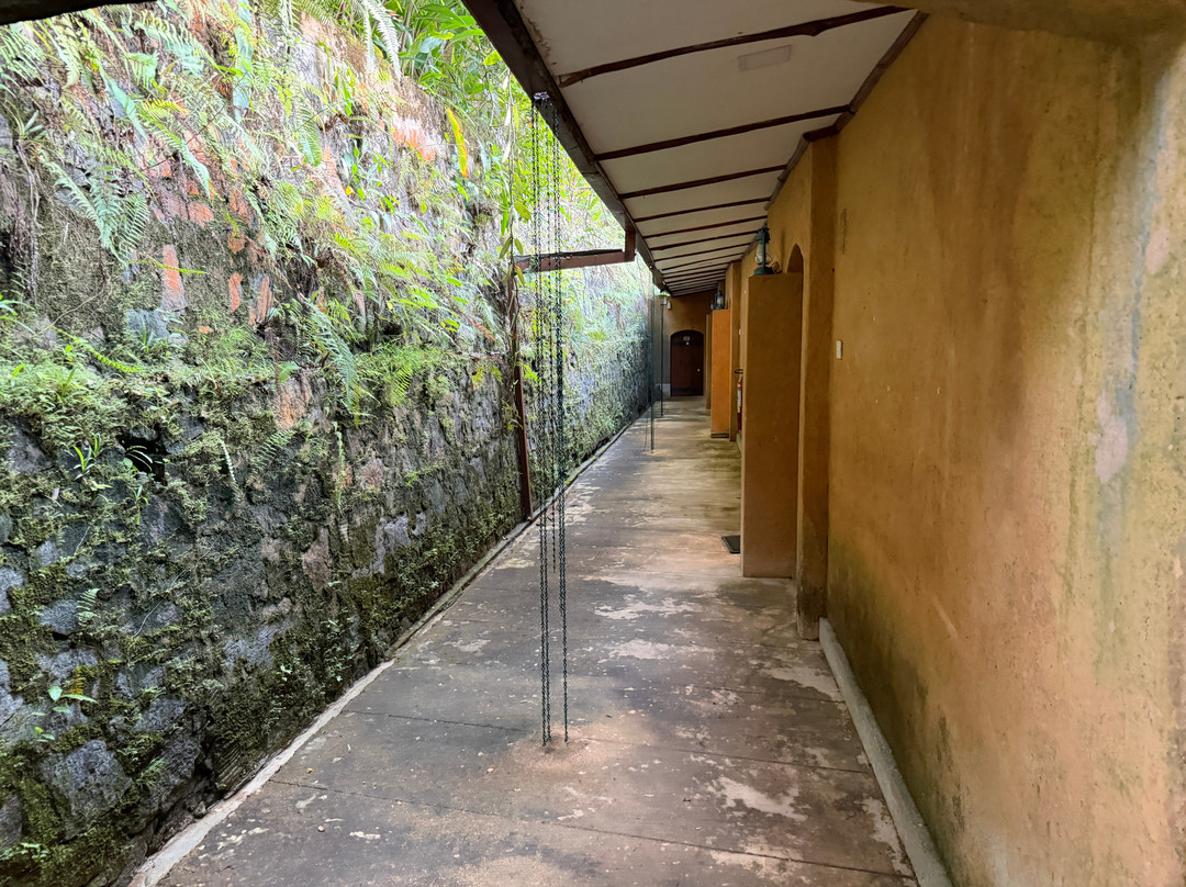 Rainforest Edge主图