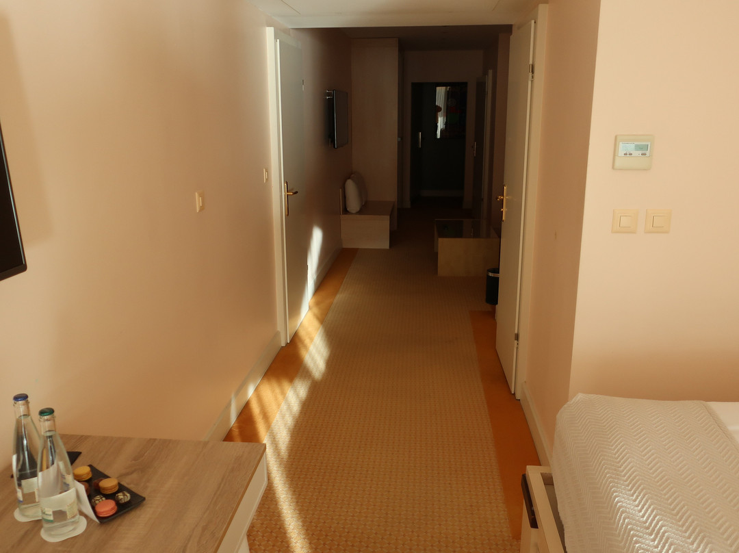 Royal Plaza Montreux主图