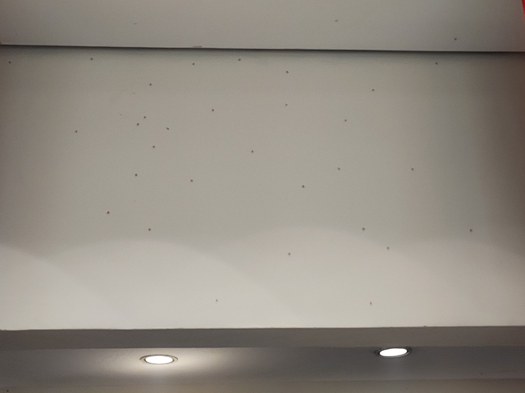 Bourbon Resort Atibaia主图