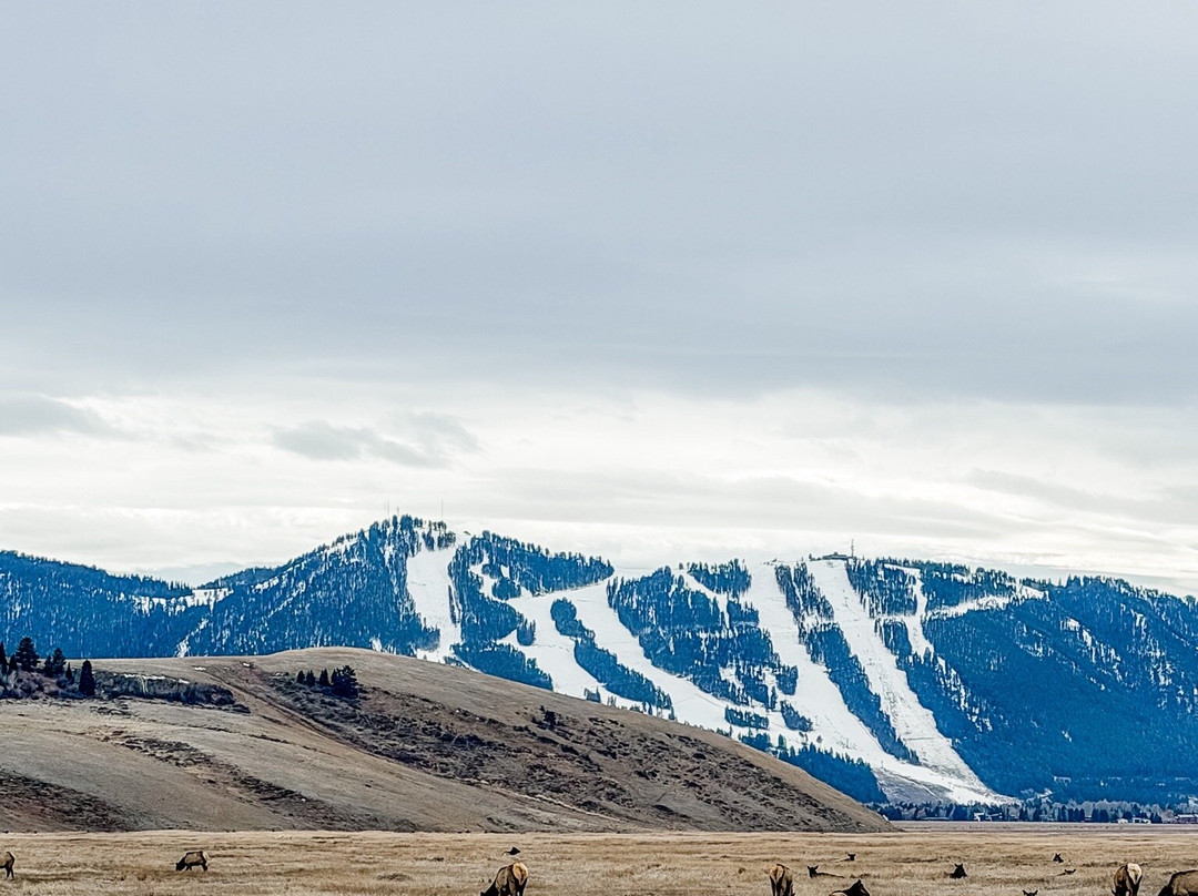 国家麋鹿保护区-杰克逊必去景点