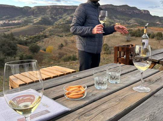 Celler Devinssi-Gratallops必去景点