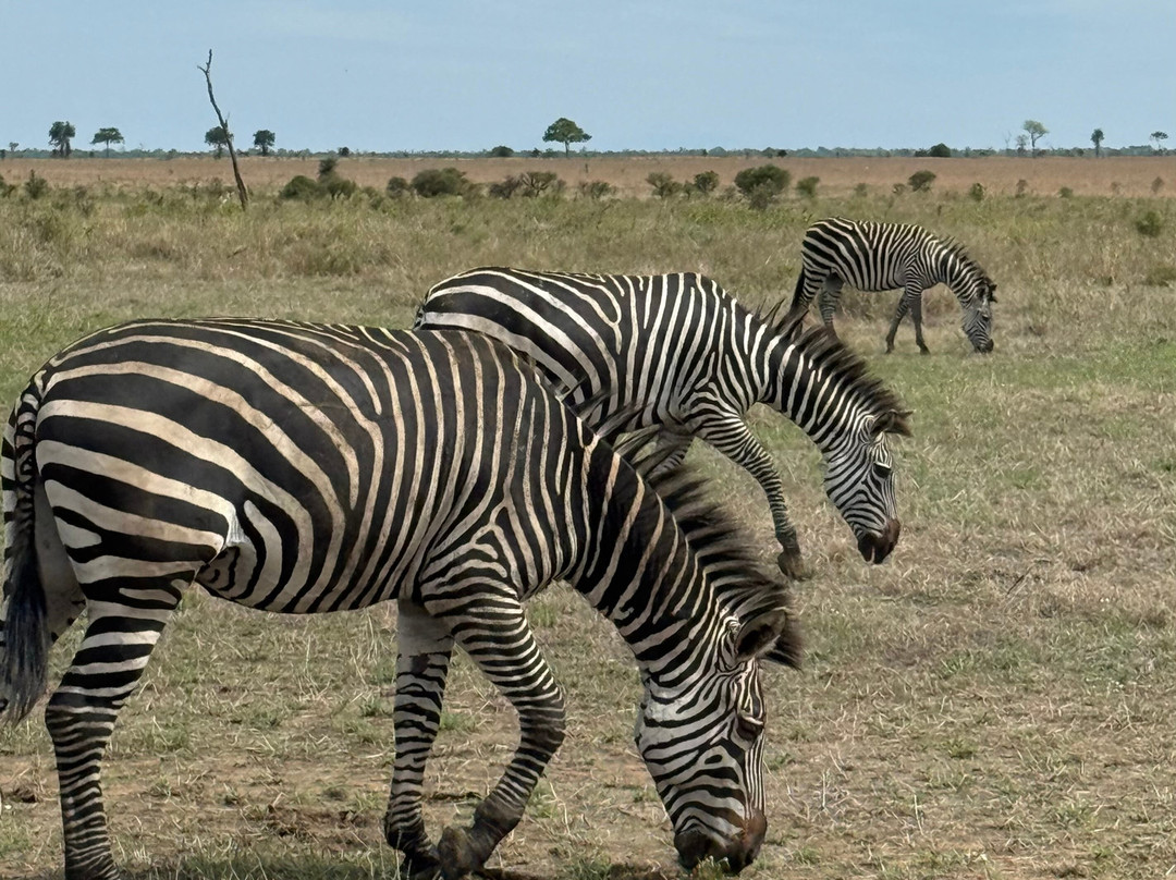 NICE ADVENTURE SAFARI-Dar es Salaam必去景点