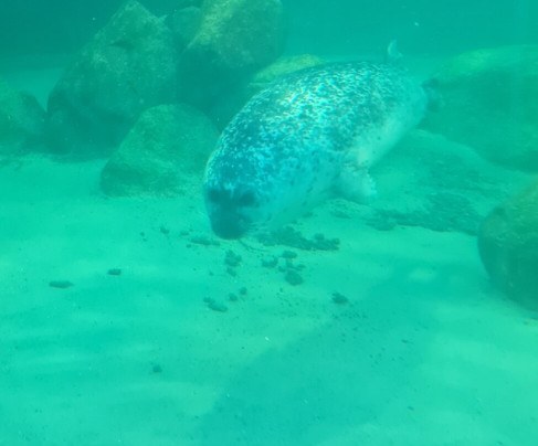 Aquarium Wilhelmshaven-威廉港必去景点