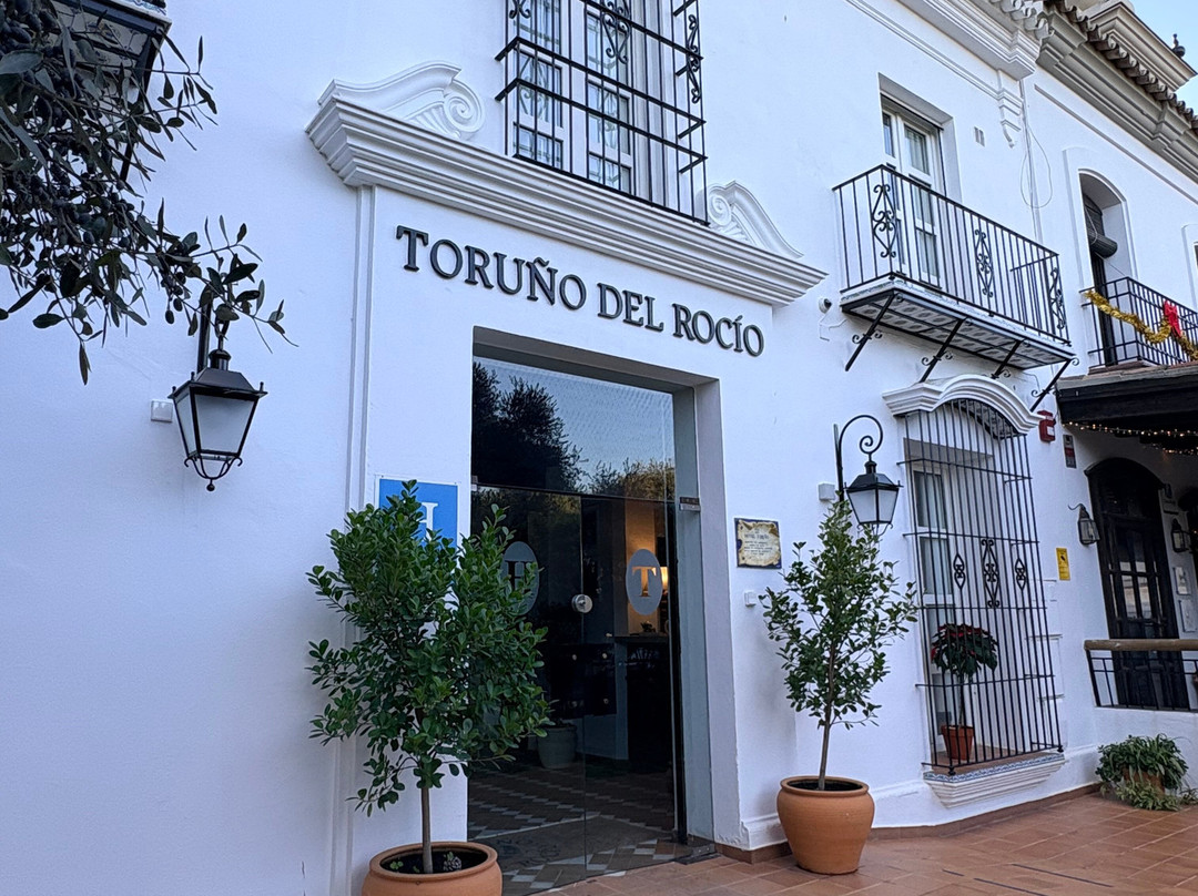 Toruno Del Rocio主图