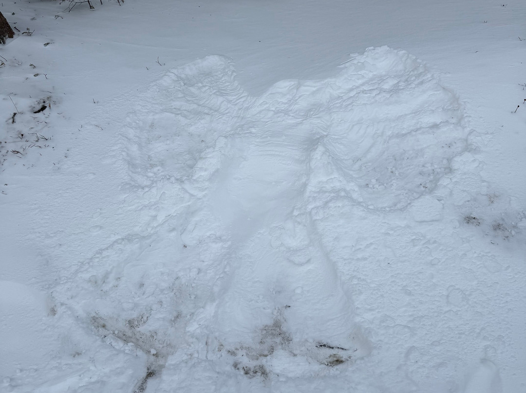 Great Glen Trails Outdoor Center-Gorham必去景点