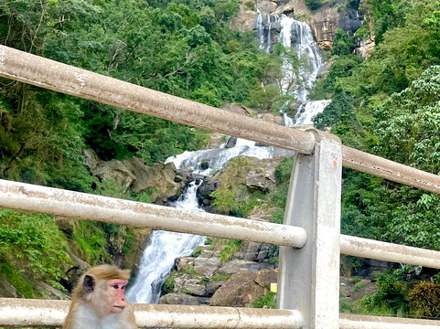 VAC Spices and Tea-科伦坡必去景点
