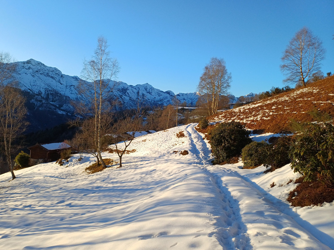 Strada Statale 232 Panoramica Zegna-Trivero必去景点