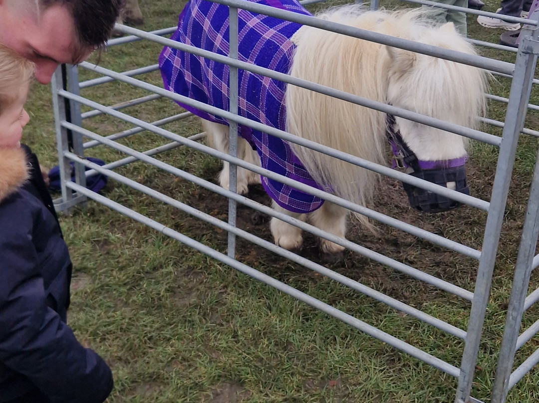 Royal Windsor Racecourse-温莎必去景点