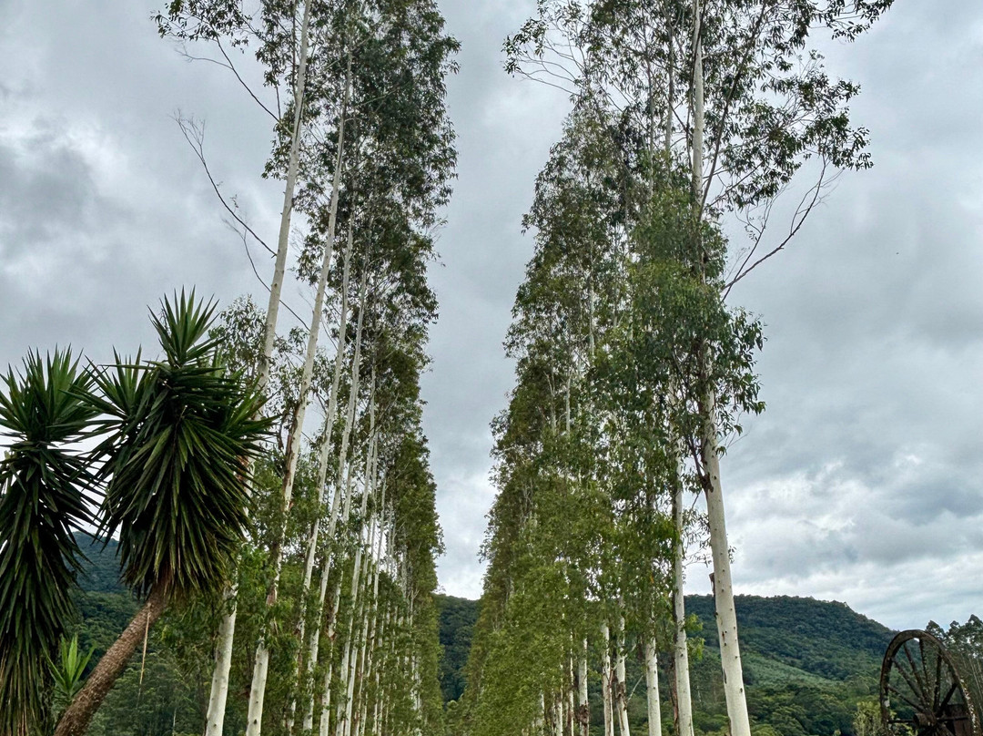 Tribo dos Canyons-Praia Grande必去景点