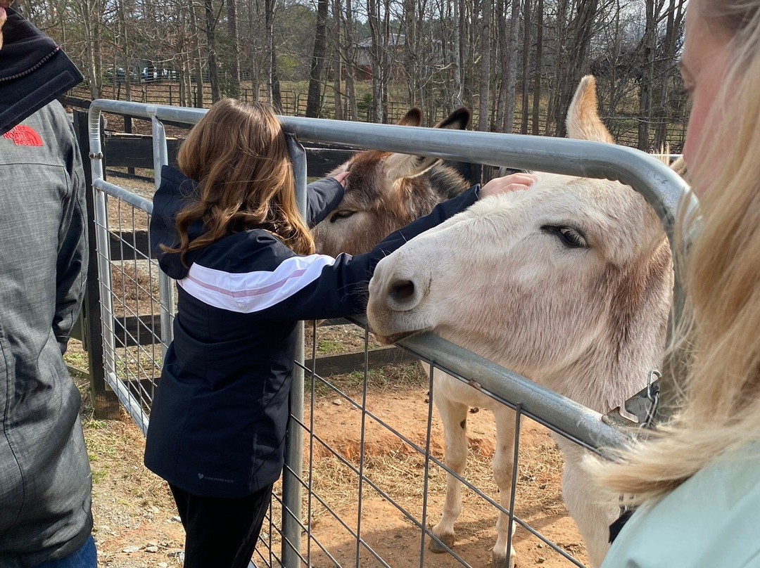 The Sanctuary At Red Bell Run