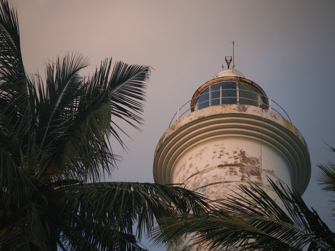 Omaari Lanka Tours-Dankotuwa必去景点