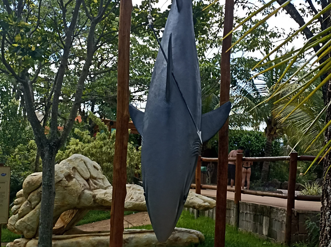 Thermas De São Pedro-Aguas de Sao Pedro必去景点