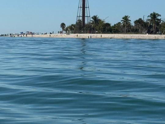 Cape Coral Boat Rentals-开普科勒尔必去景点