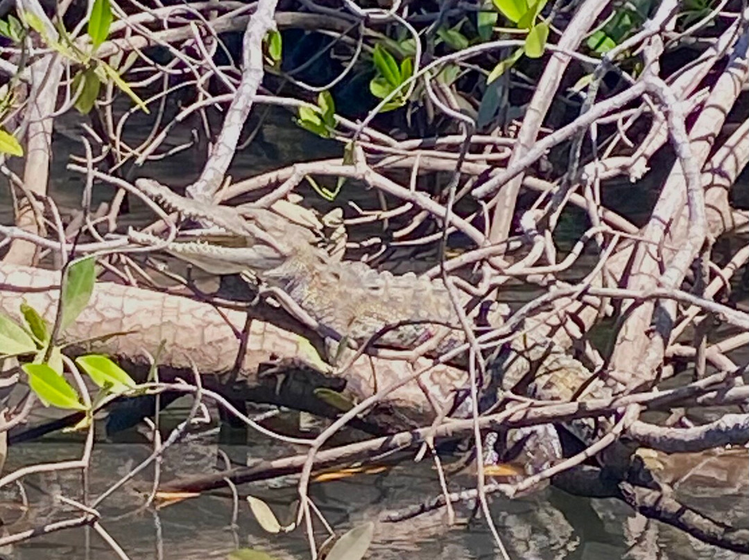 Tour Guanacaste-波特雷罗必去景点