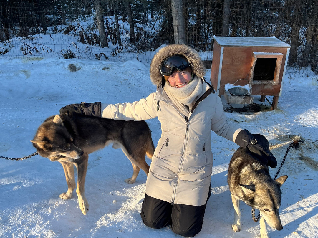 Chilly Dogs Sled Dog Trips-伊利必去景点