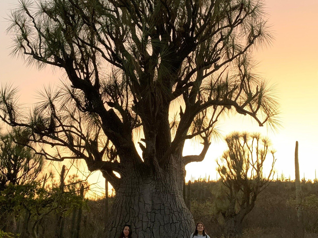 Bio Fan-Tehuacan必去景点