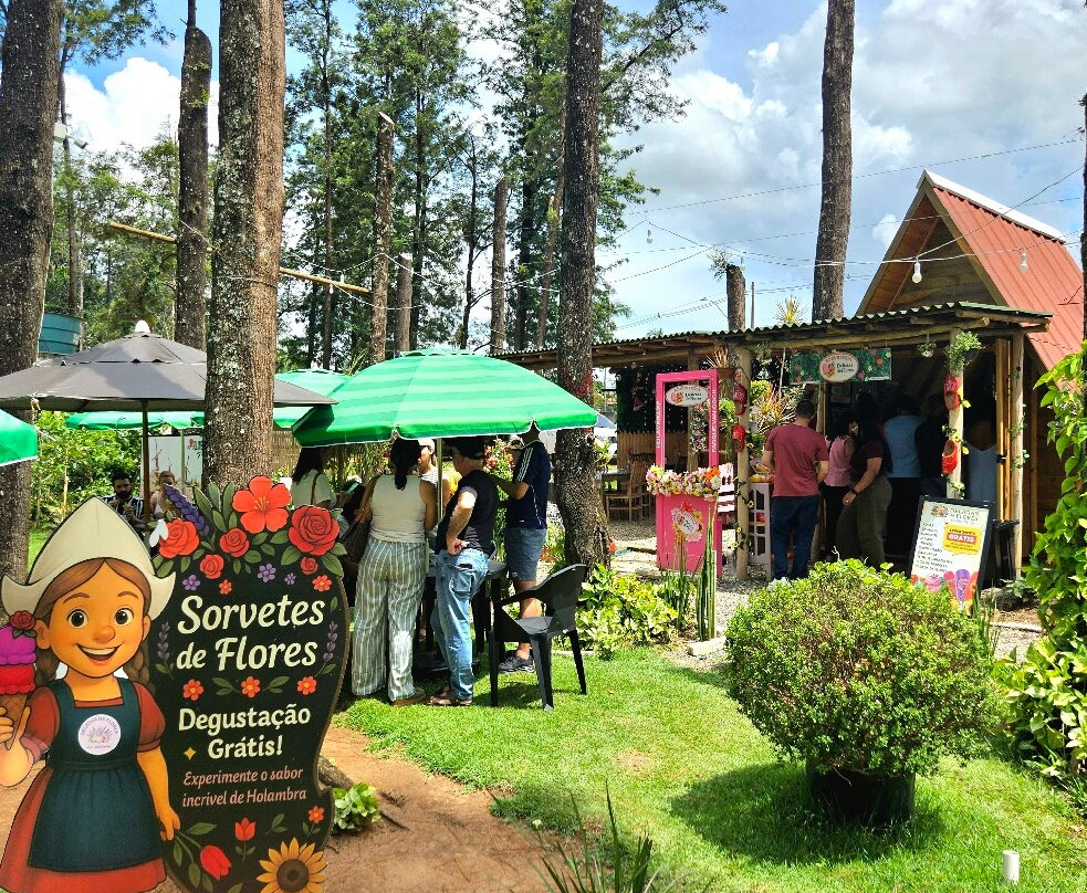 Parque Van Gogh-Holambra必去景点