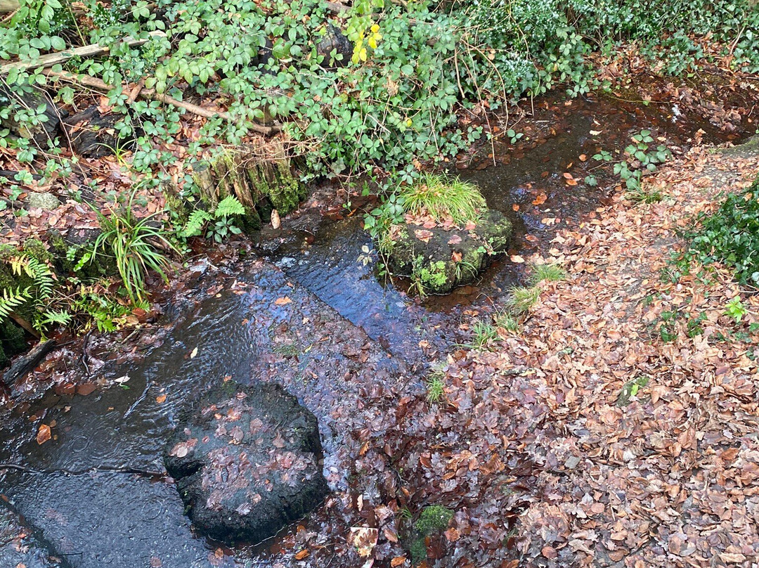 Keston Common-Keston必去景点