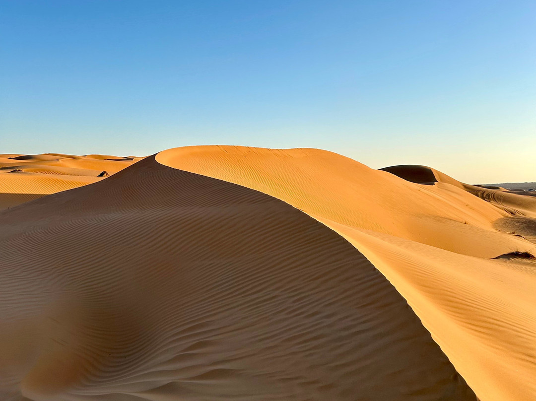 Origins Travel Group-阿姆斯特丹必去景点