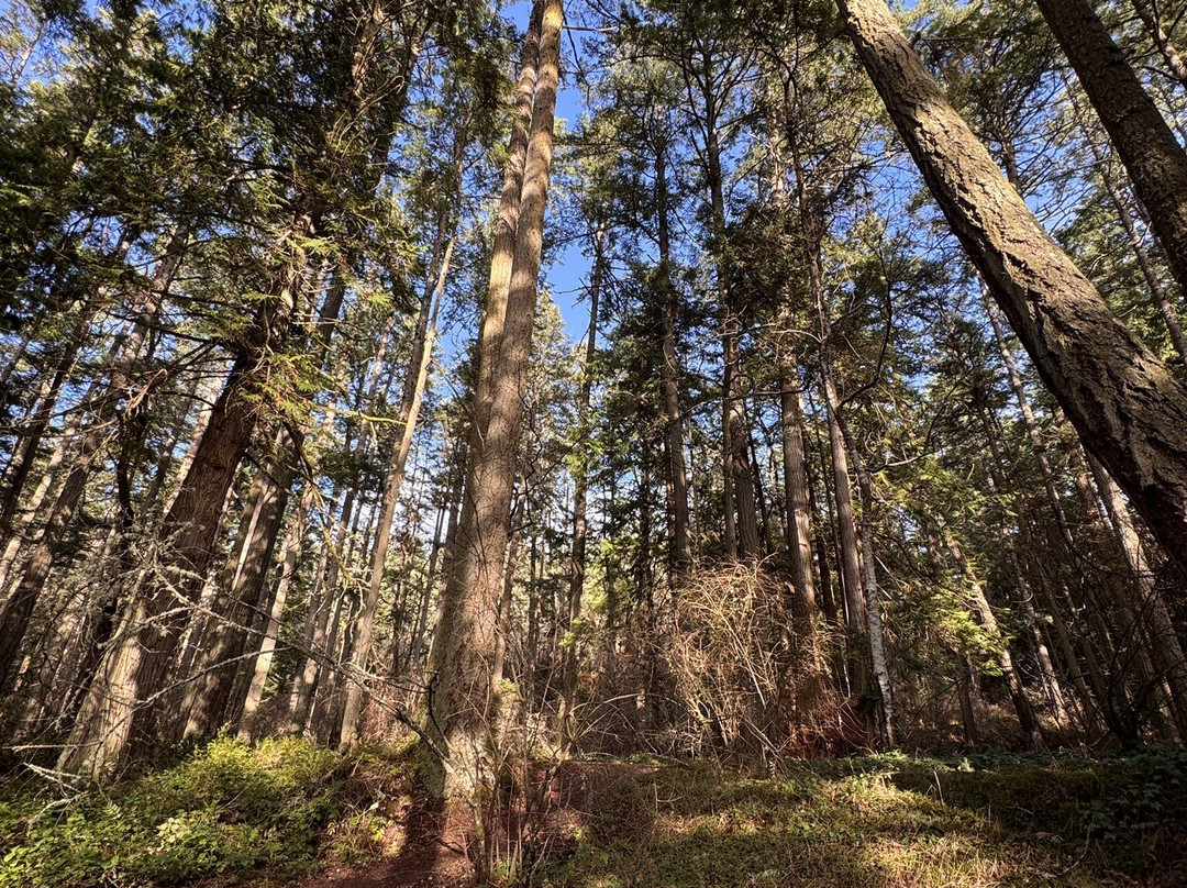 Esquimalt Lagoon Migratory Bird Sanctuary-Colwood必去景点