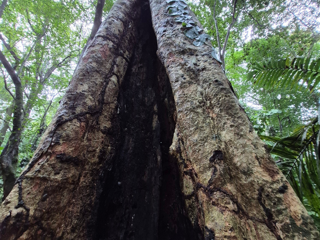 Reserva Natural El Cielo-Capurgana必去景点