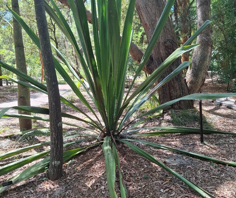 Hunter Region Botanic Gardens-史蒂芬斯港必去景点