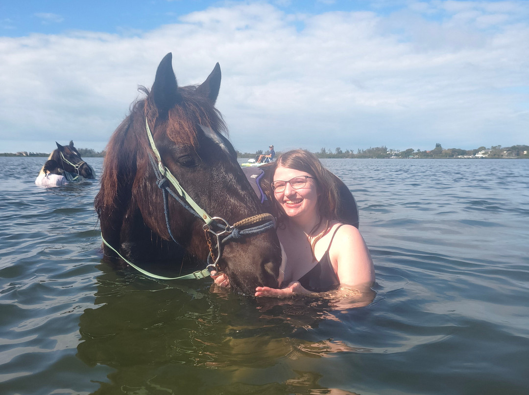 Florida Beach Horses-布雷登顿必去景点